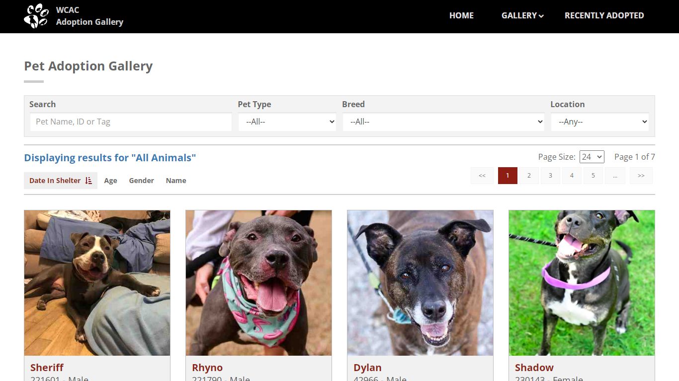 Wake County Animal Center Adoption Gallery